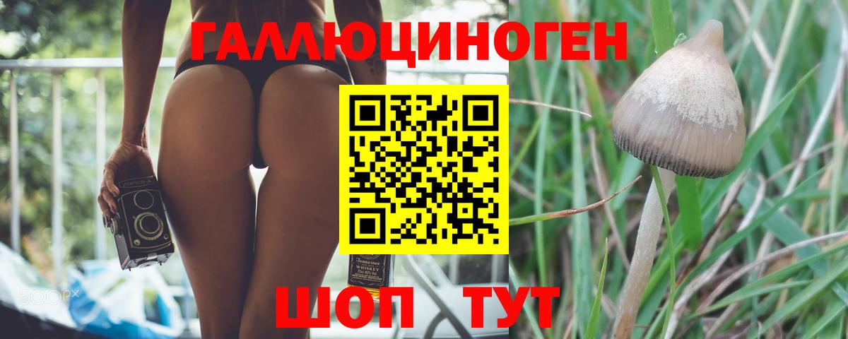 Галлюциногенные грибы GOLDEN TEACHER Владимир